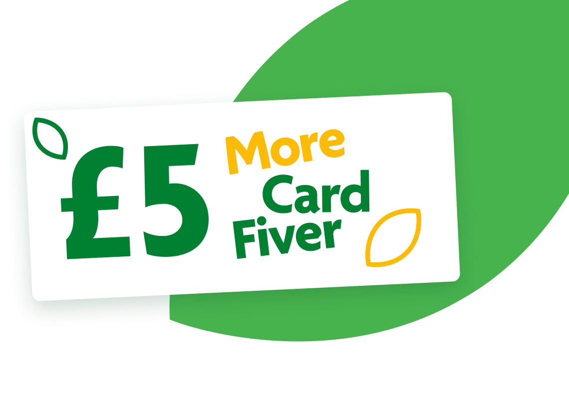 More Card Fiver